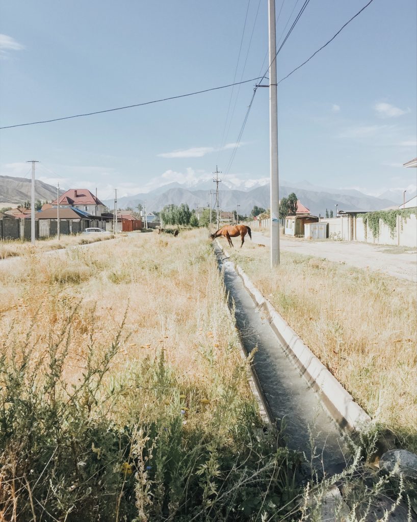 Host family's neighborhood in Kyrgyzstan - Living with a host family