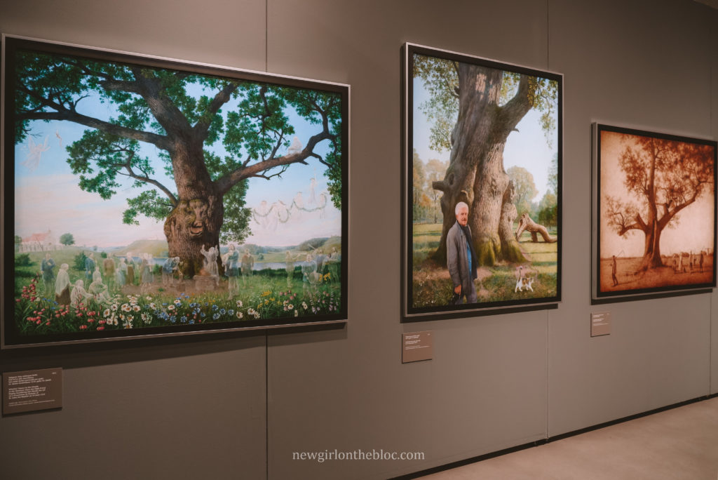 Oak tree paintings by Imants Lancmanis at the Latvian National Museum of Art in Riga, Latvia | 10 Best Things to Do in Riga, Latvia 